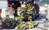 coconutsatbeachkiosk.jpg (97593 bytes)