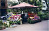 Florist in Ipanema