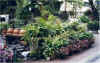 Florist in Ipanema