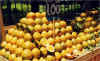 laranja lima.jpg (138514 bytes)
