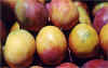 mangoes.jpg (109388 bytes)