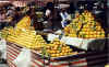 tangerinas.jpg (103160 bytes)